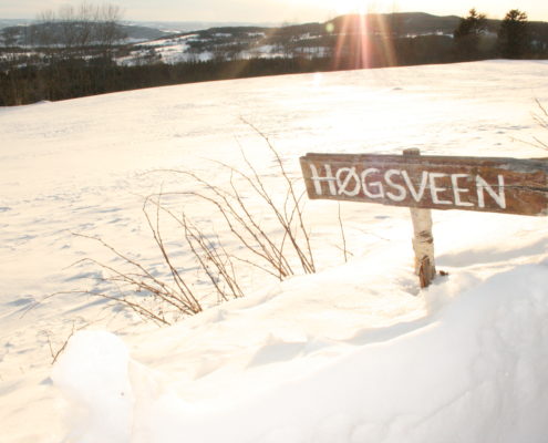 Høgsveen ved Hamar