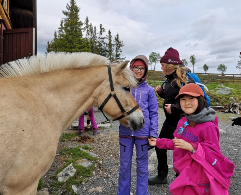 Barn med hest på Langedrag