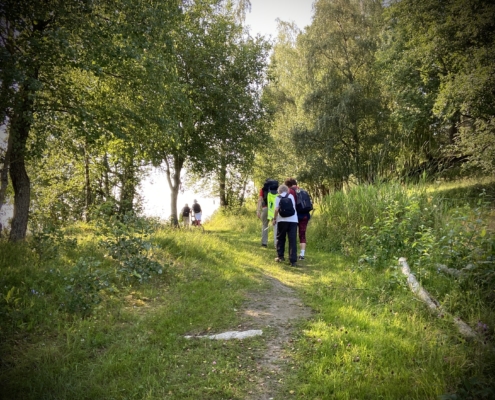 Mennesker som går gjennom en grønn skog